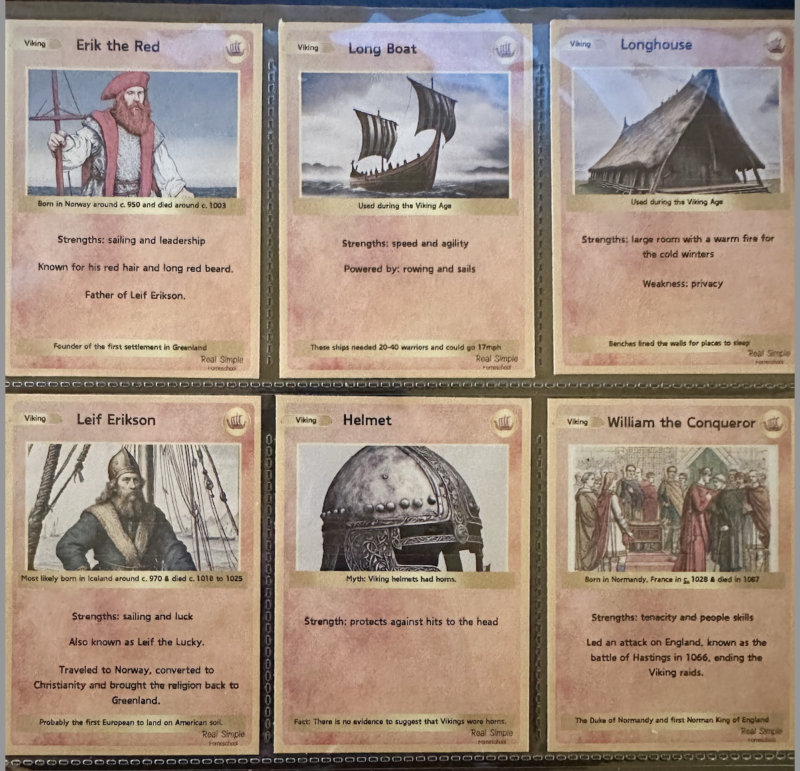 Discover the Viking Age | Family Interest Study for Homeschooling - Image 3